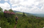 Southern Appalachian Highlands Conservancy Southern Appalachian Highlands Conservancy