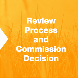 Review Process and Commission Decision